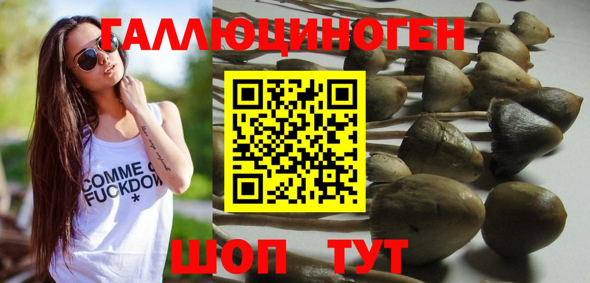 Нурлат  закладки  Вход с VPN  Псилоцибиновые грибы Magic Shrooms 